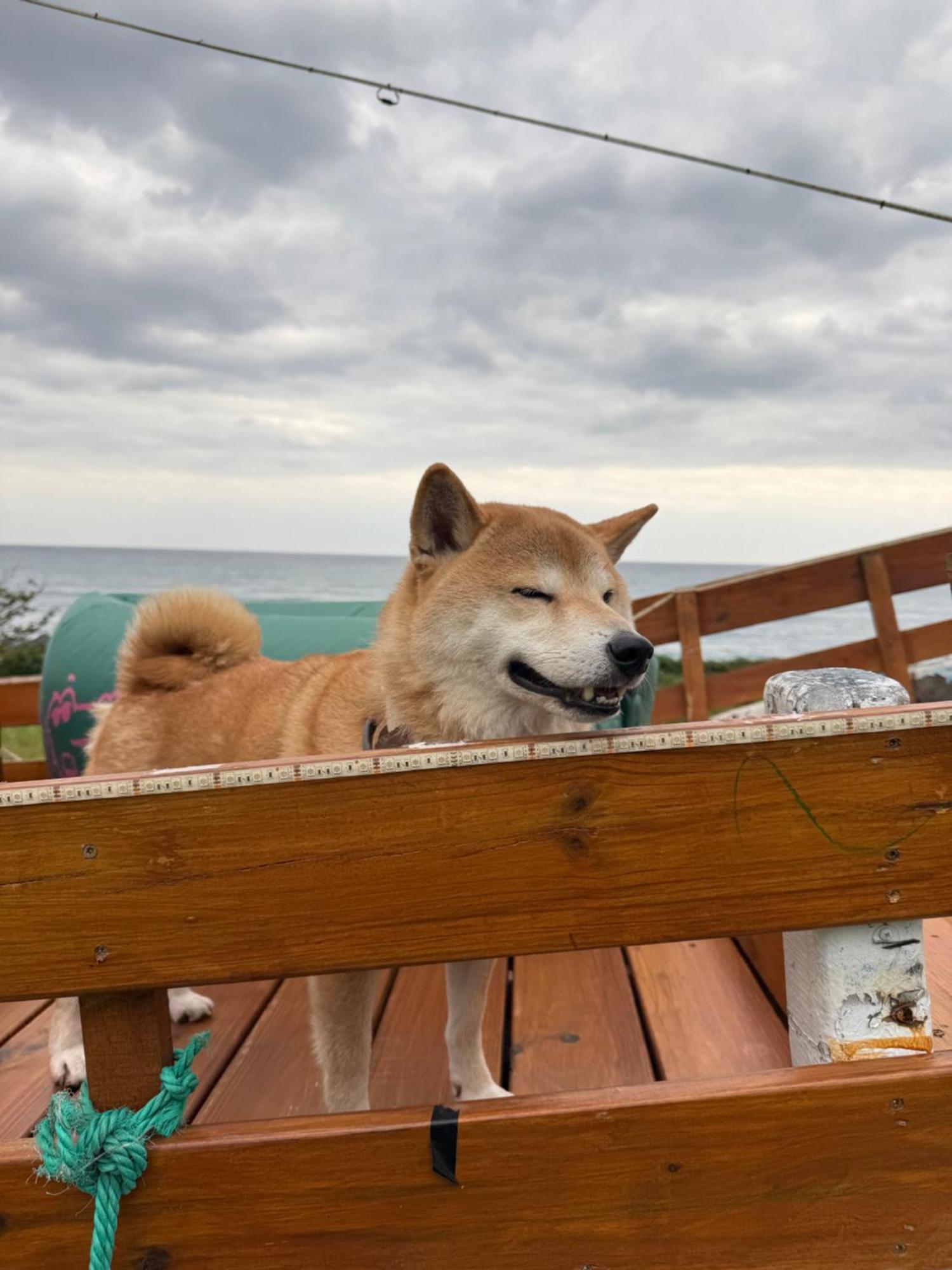 Sea-Hi B&B Yanliau エクステリア 写真